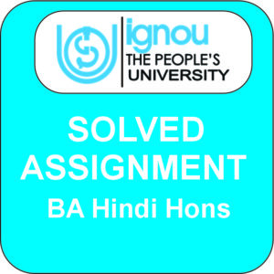 BA HINDI HONS