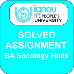 BA in Sociology Hons