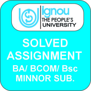 BA BCOM BSC Minor